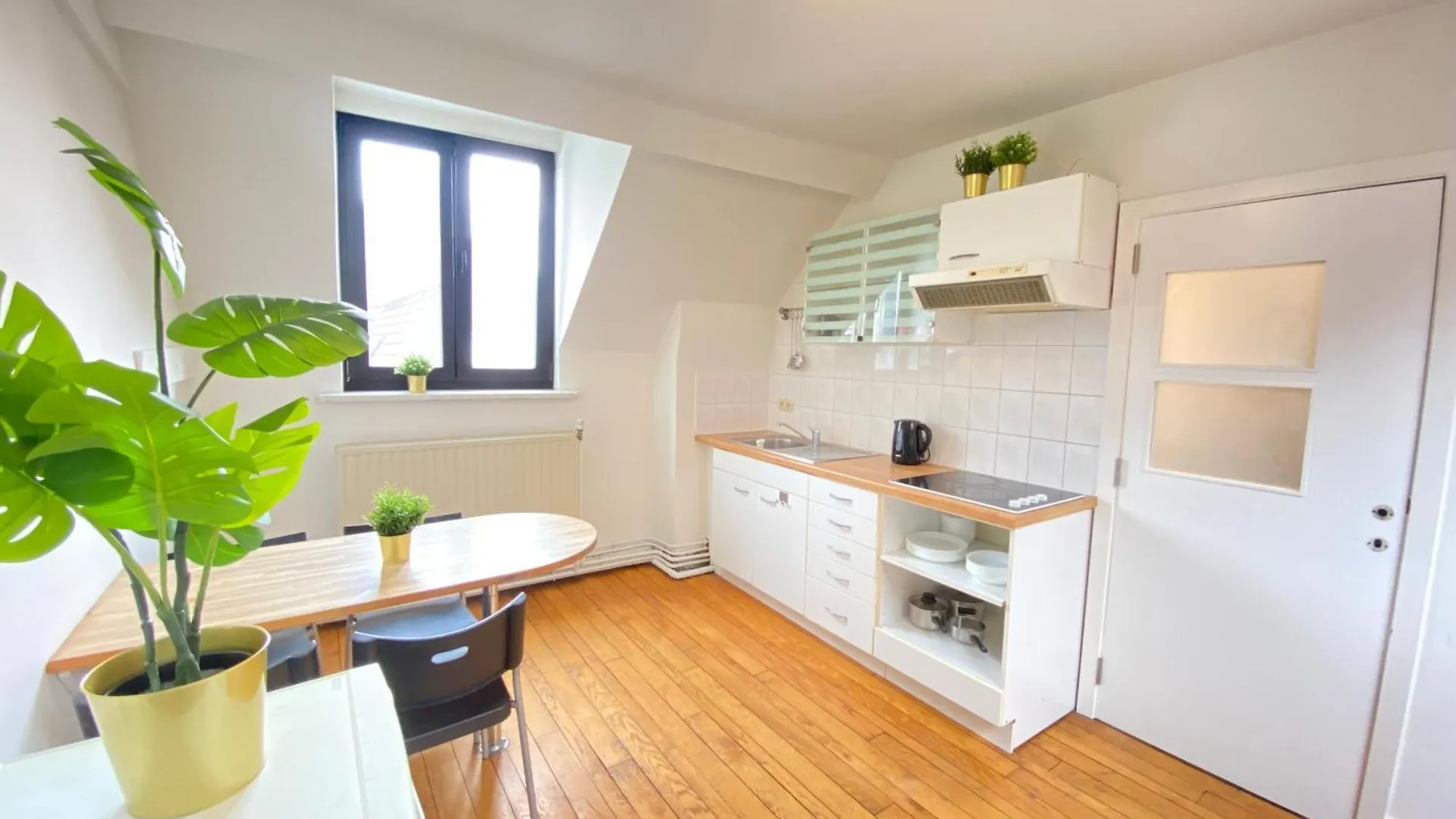 Large Authentic Antwerp Apartments