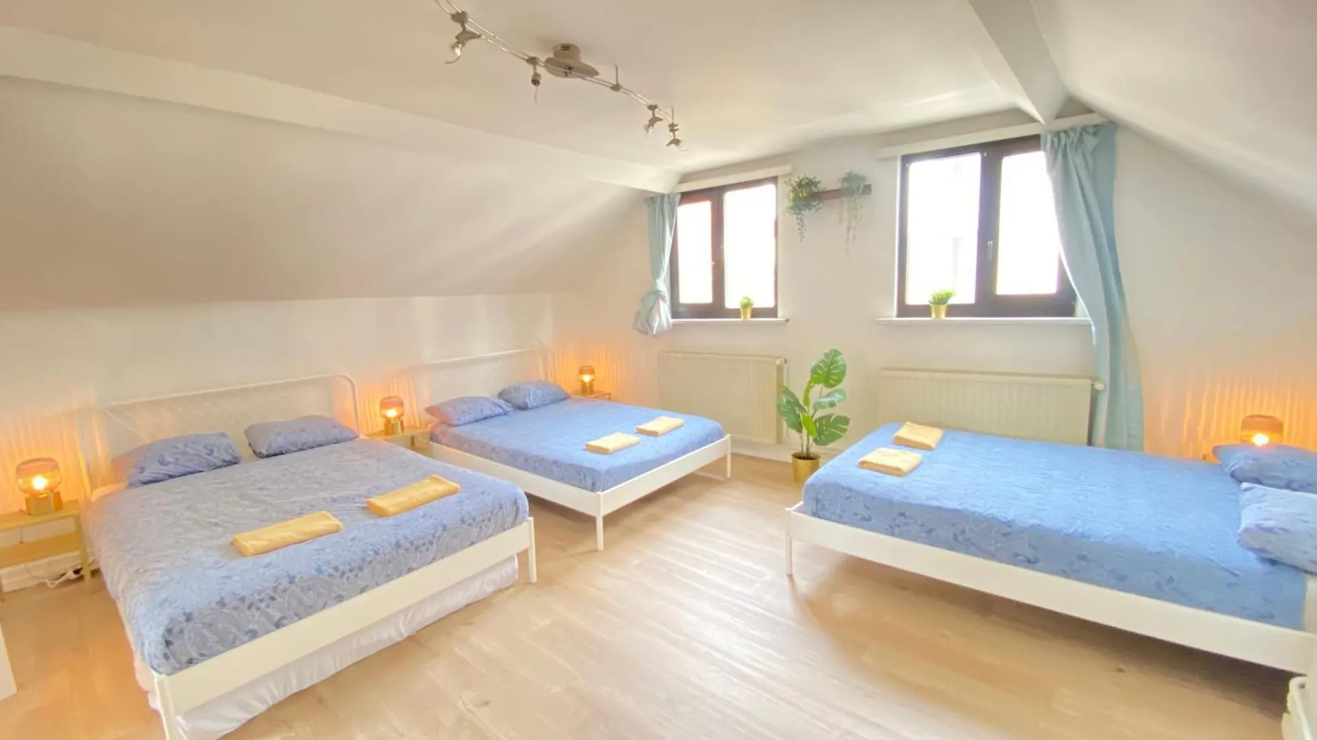 Large Authentic Antwerp Apartments