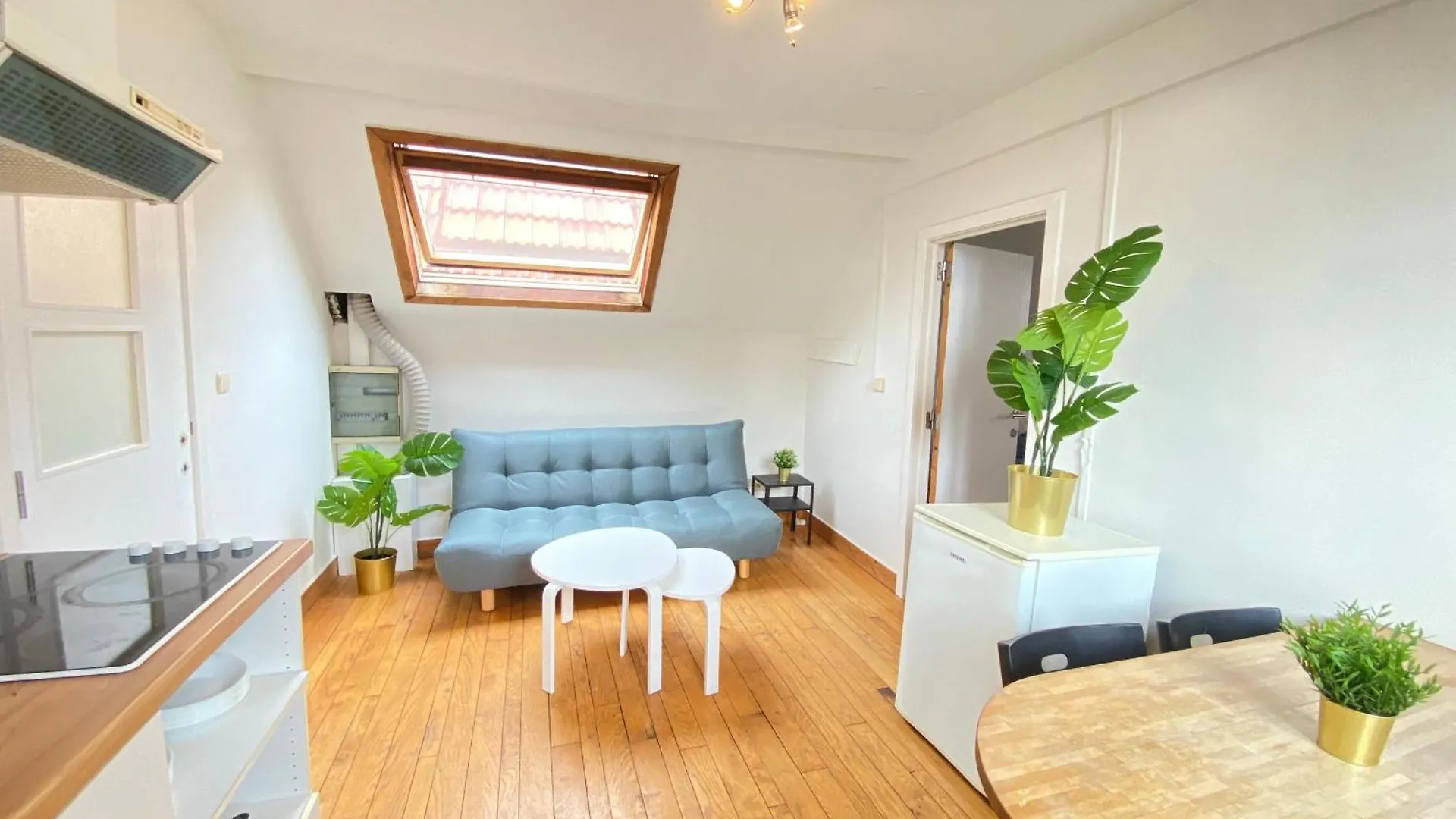 Large Authentic Antwerp Apartments