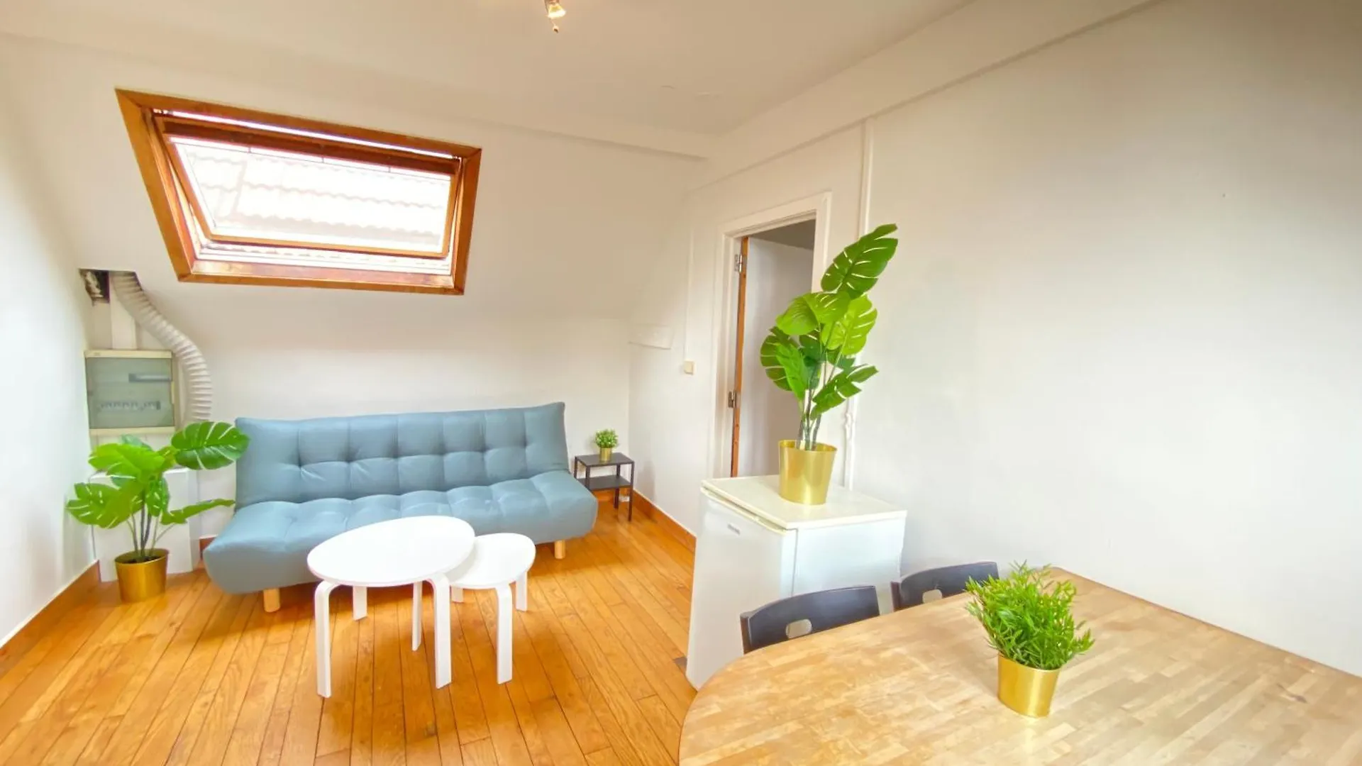 Large Authentic Antwerp Apartments