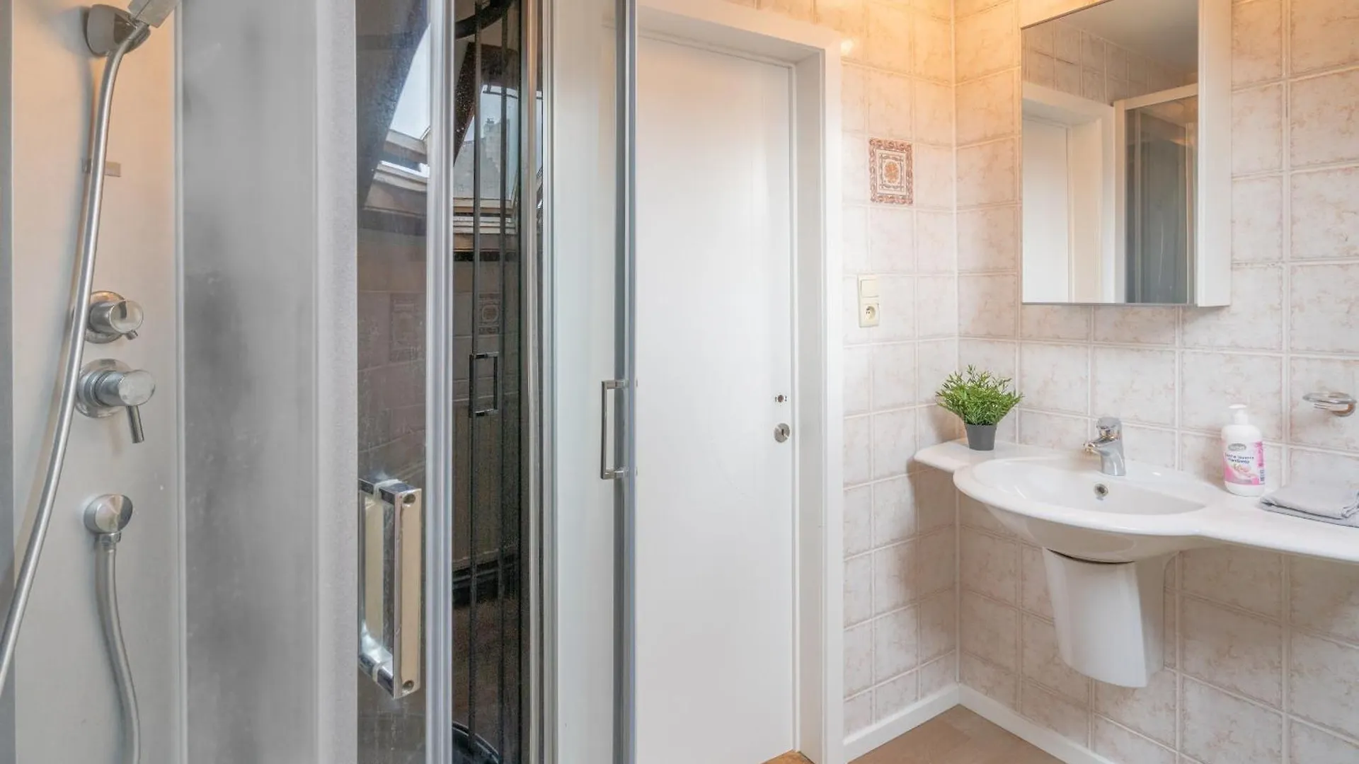 Large Authentic Antwerp Apartments