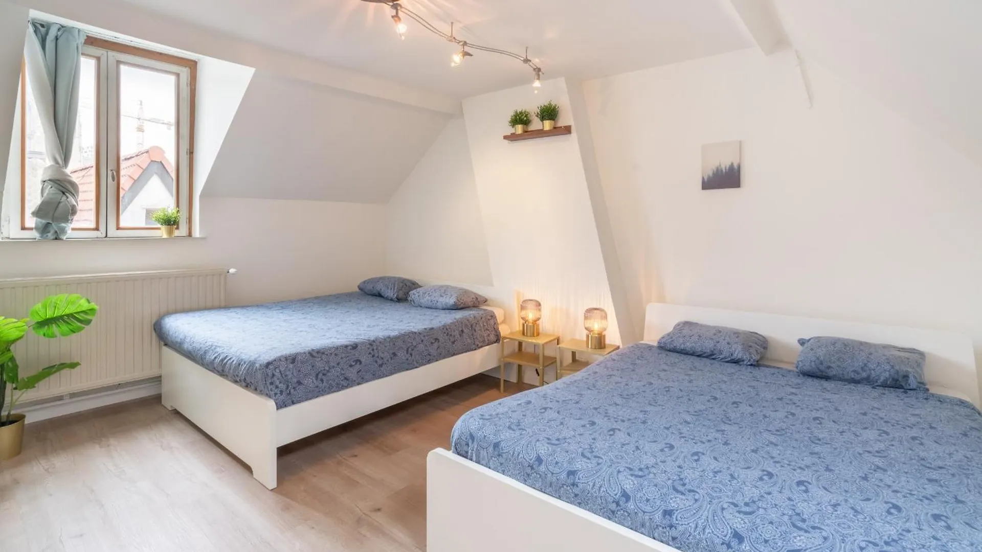 Large Authentic Antwerp Apartments