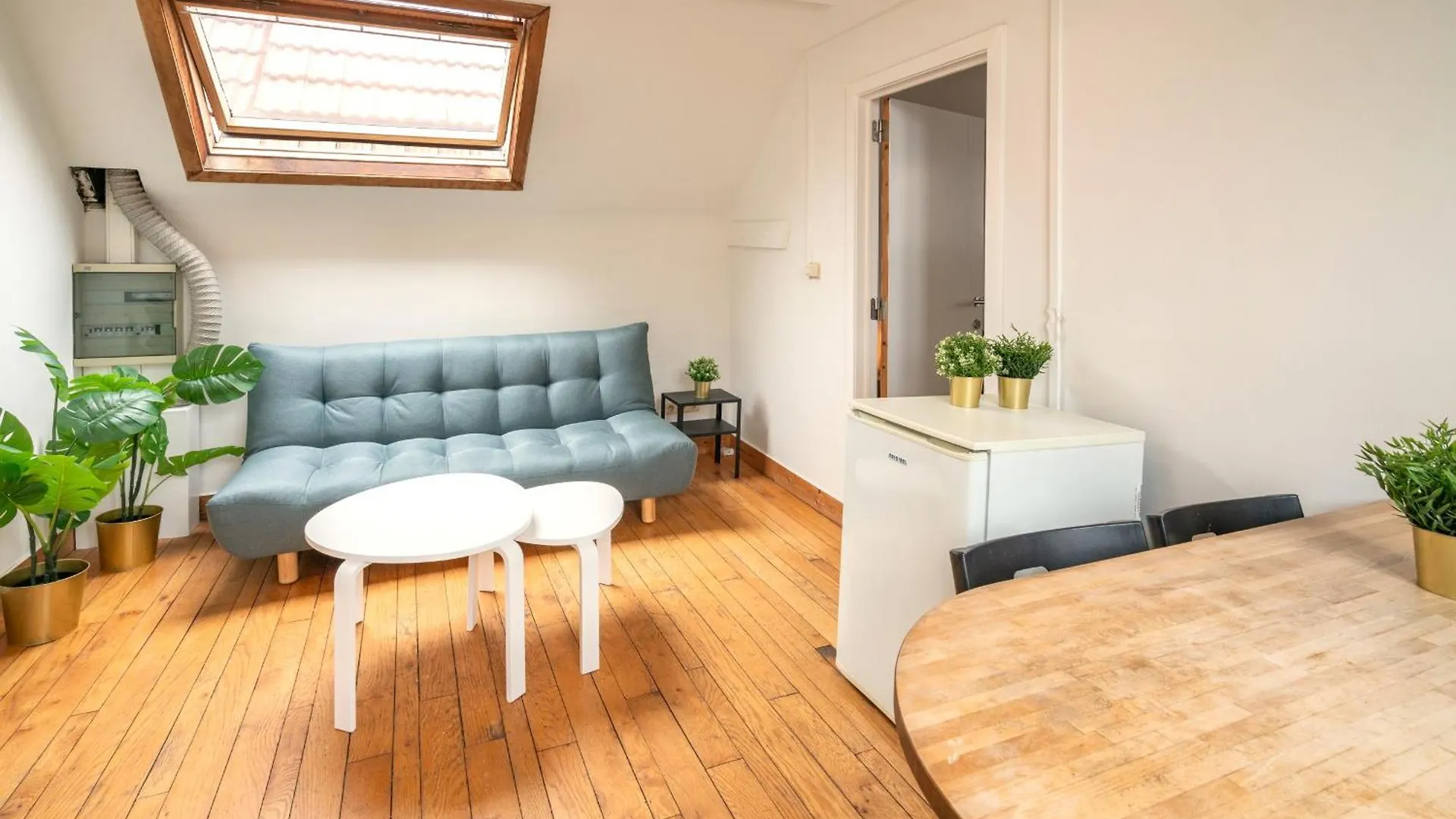 Large Authentic Antwerp Apartments Belgien