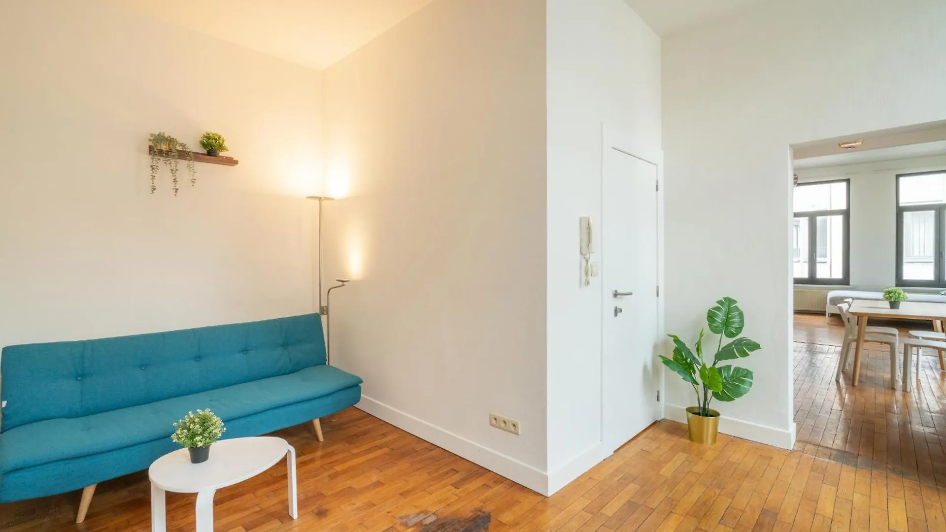 Large Authentic Antwerp Apartments