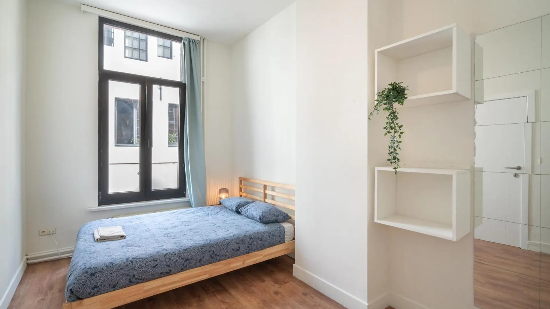 Large Authentic Antwerp Apartments