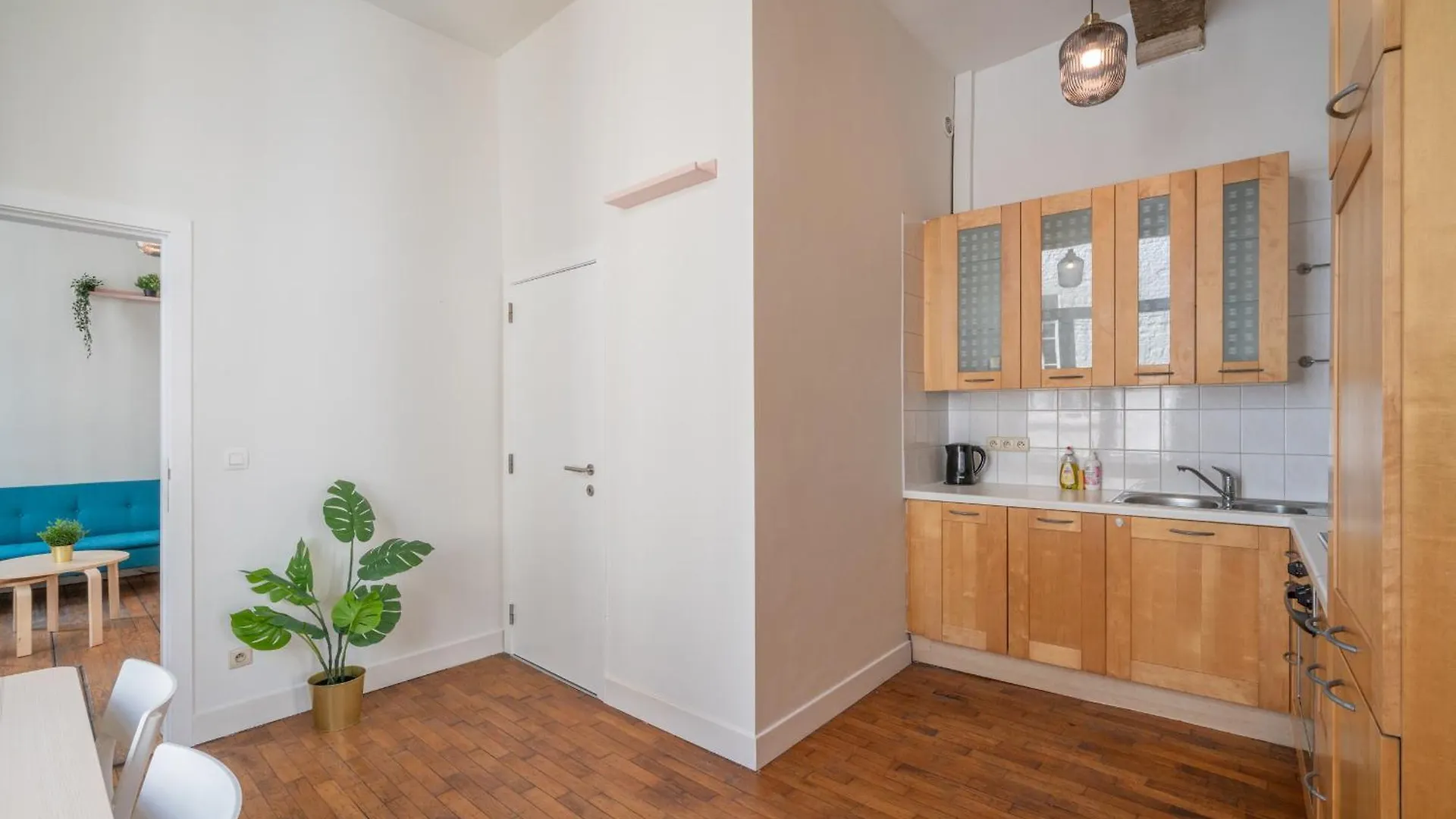 Large Authentic Antwerp Apartments Belgia