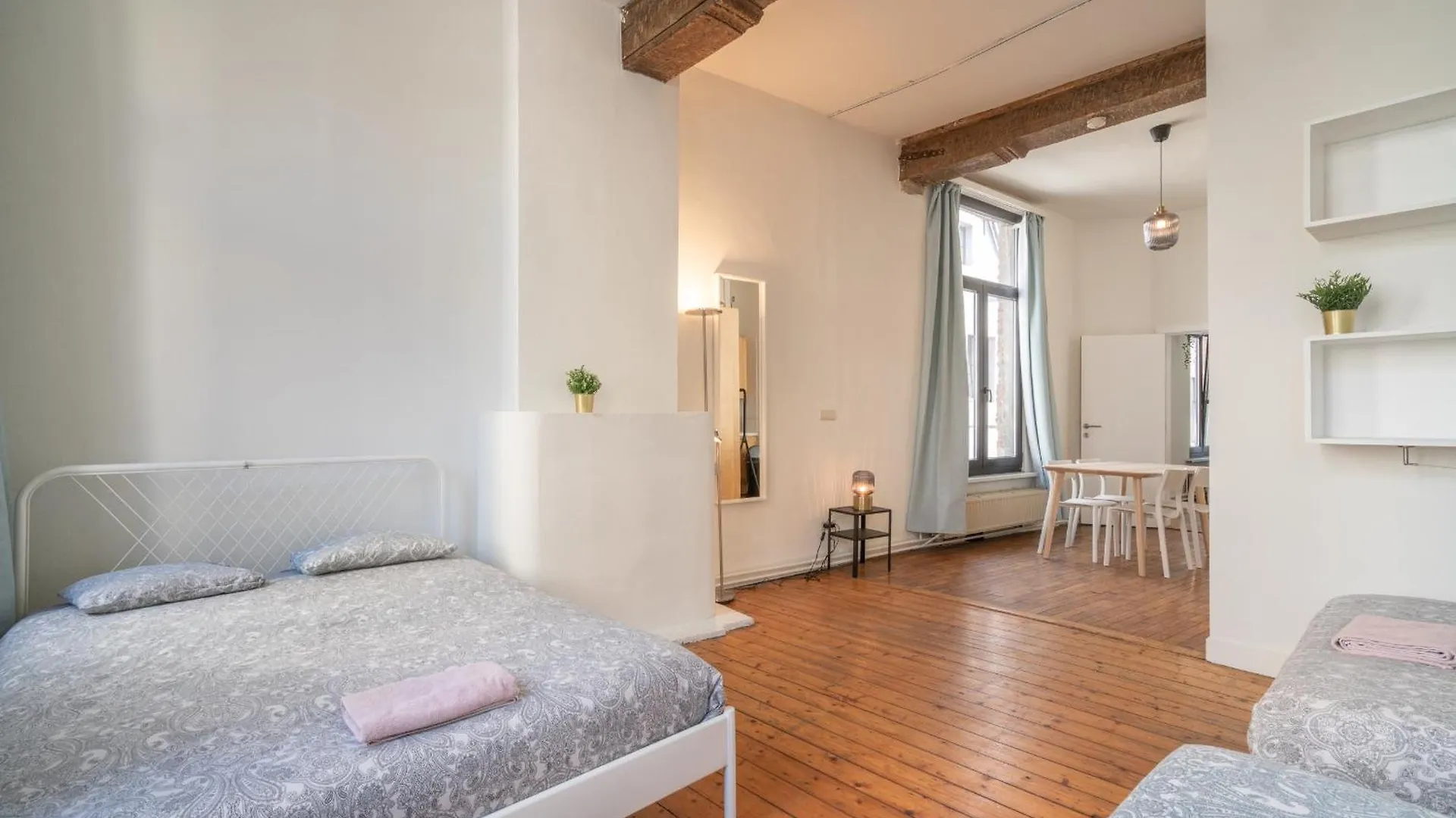 Large Authentic Antwerp Apartments