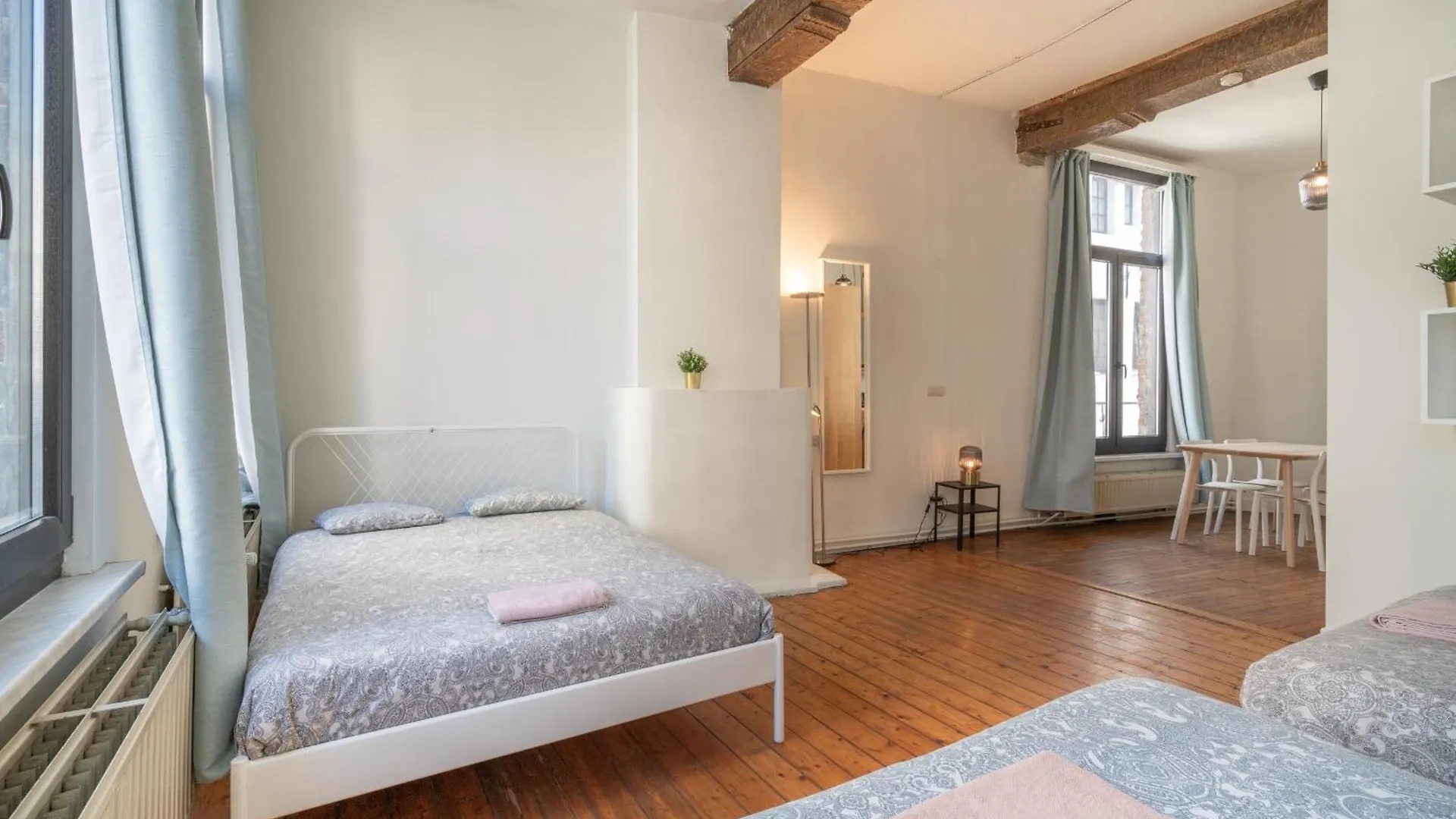 Large Authentic Antwerp Apartments
