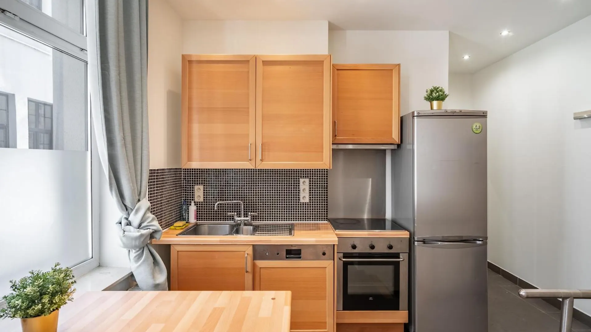 Large Authentic Antwerp Apartments