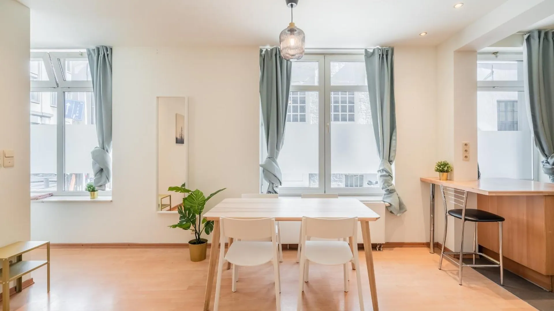 Large Authentic Antwerp Apartments